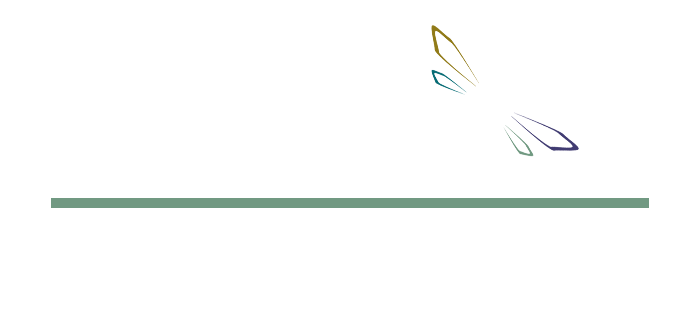 Anexum GmbH